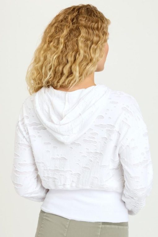 Therosequarter.shop2dd890afe7 3