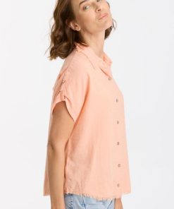 Therosequarter.shope50ddbda6e 2