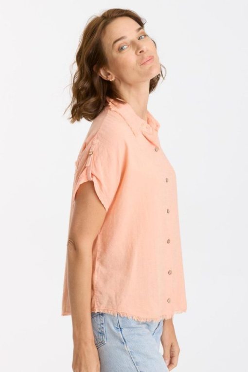 Therosequarter.shope50ddbda6e 2