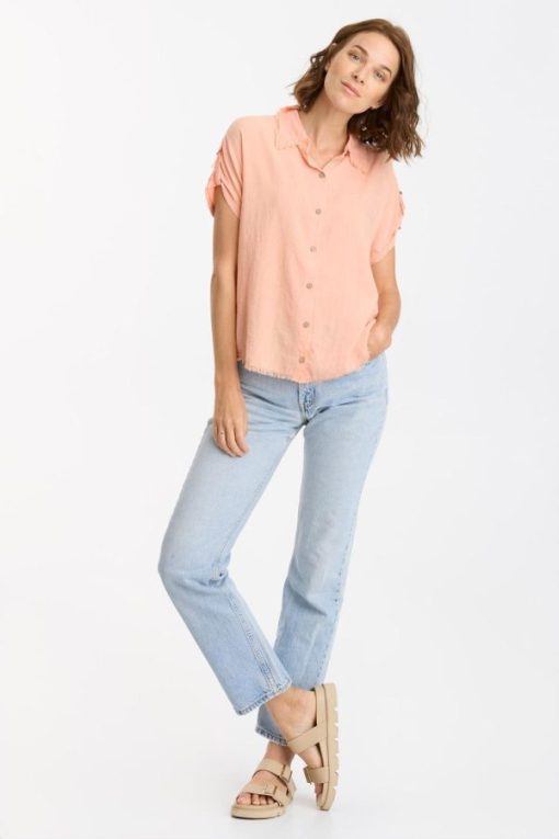 Therosequarter.shope50ddbda6e 4