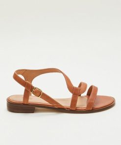 Therosequarter.shop19dec2d736 5