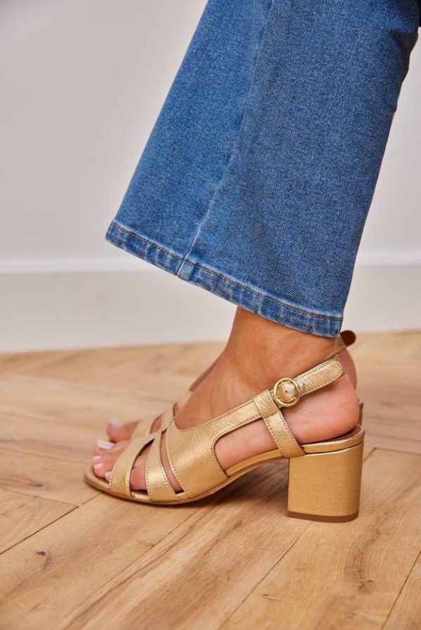 Therosequarter.shop4d59b26eb2 1