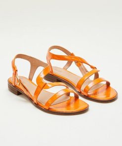 Therosequarter.shop6649246d8d 1