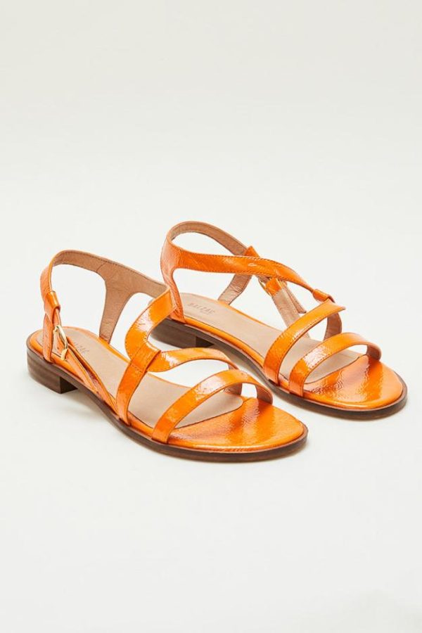 Therosequarter.shop6649246d8d 1