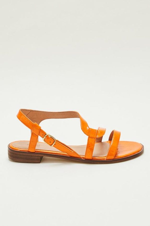 Therosequarter.shop6649246d8d 3