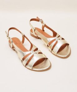 Therosequarter.shopaaf8ee9901 2